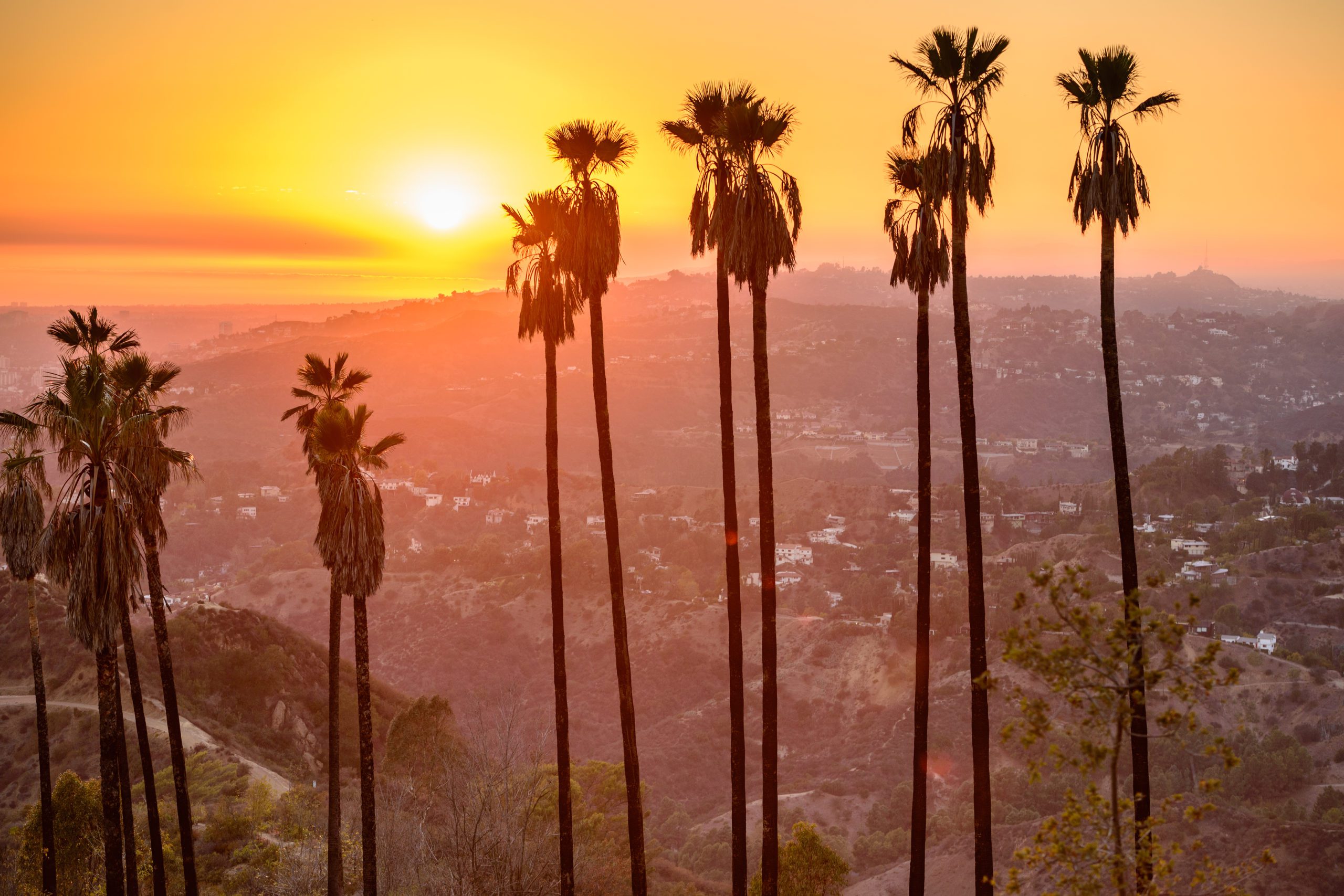 Why You Should Go To Intensive Outpatient in Los Angeles